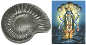 Shree Hari SHaligram Hari shaligram